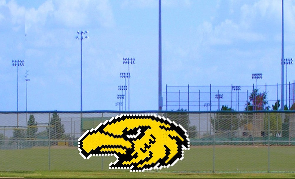 6' x 10' Golden Eagle