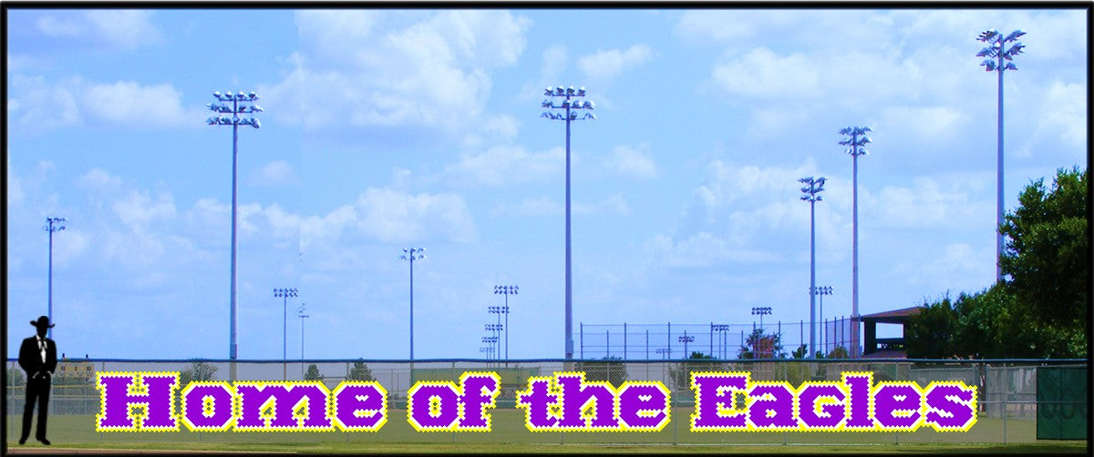 3.75' X 48' Home of the Eagles