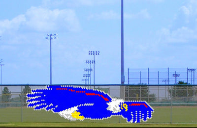 6' x 18' Large Soaring Eagle