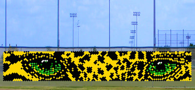 5' x 24' Jaguar Eyes