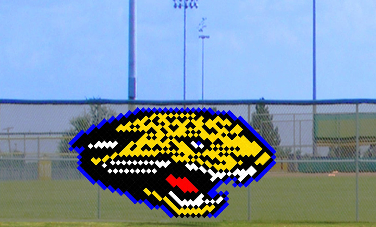 6' x 11' Jaguar - Leopard Head
