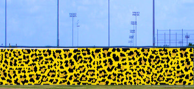 6' x 36' Spotted Print