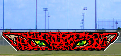 5' x 23' Spotted Eyes