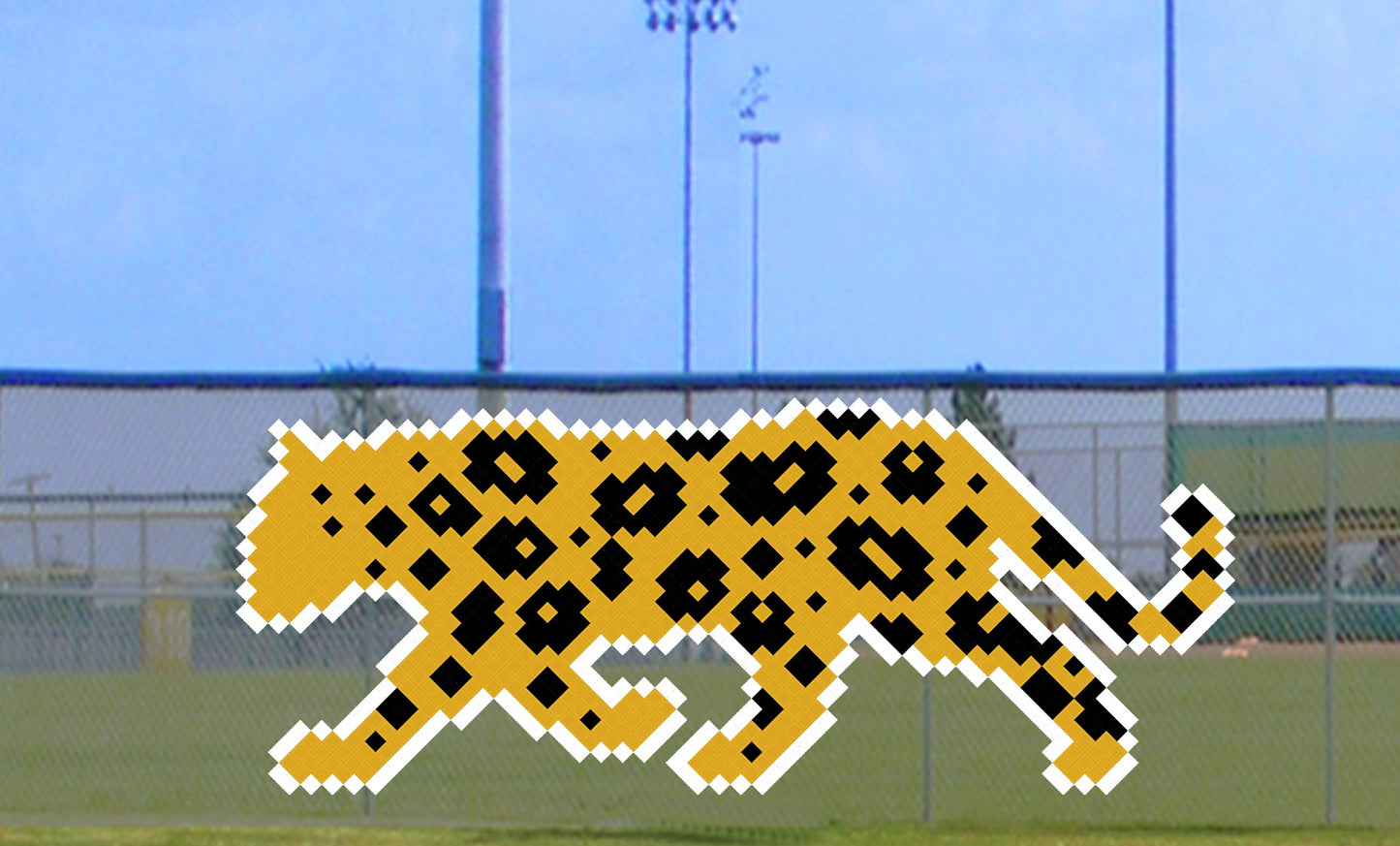 6' x 11' Spotted Leopard
