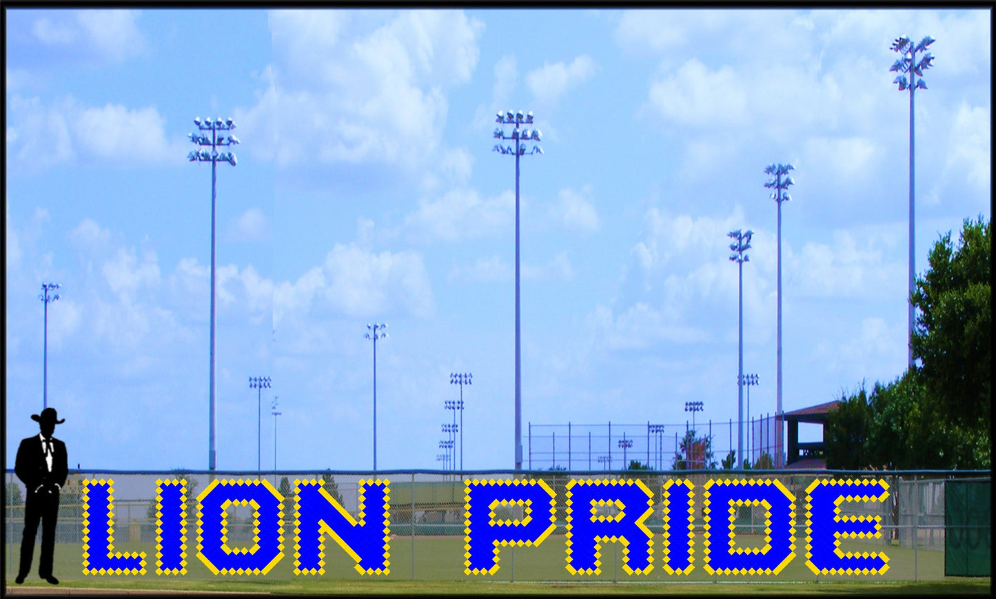 3.5' x 25' LION PRIDE