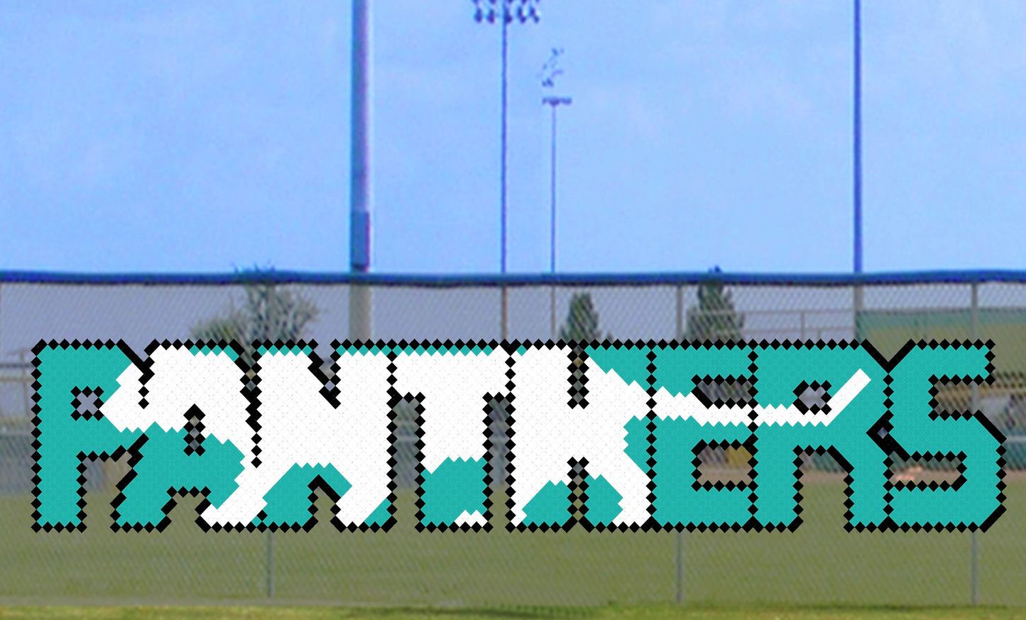 5' x 19' Panthers Letters with Silhouette