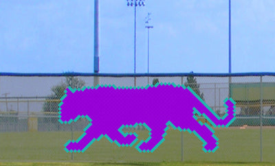 5' x 11' Strolling Cat