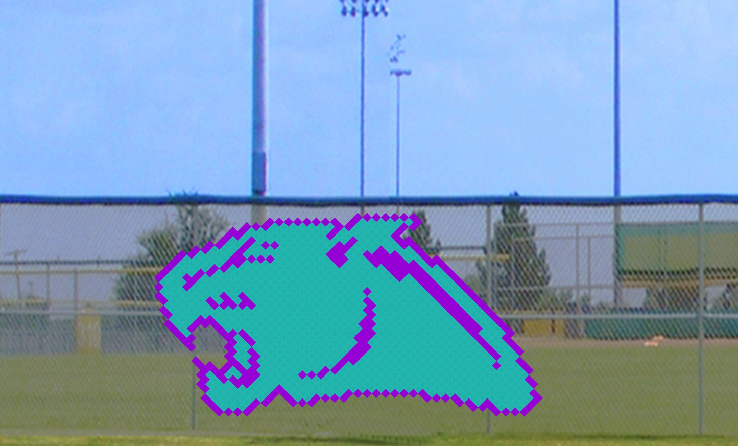 7' x 10' Panther