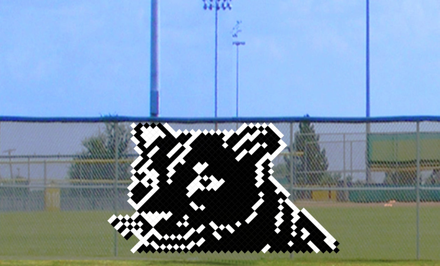6' x 8' Panther
