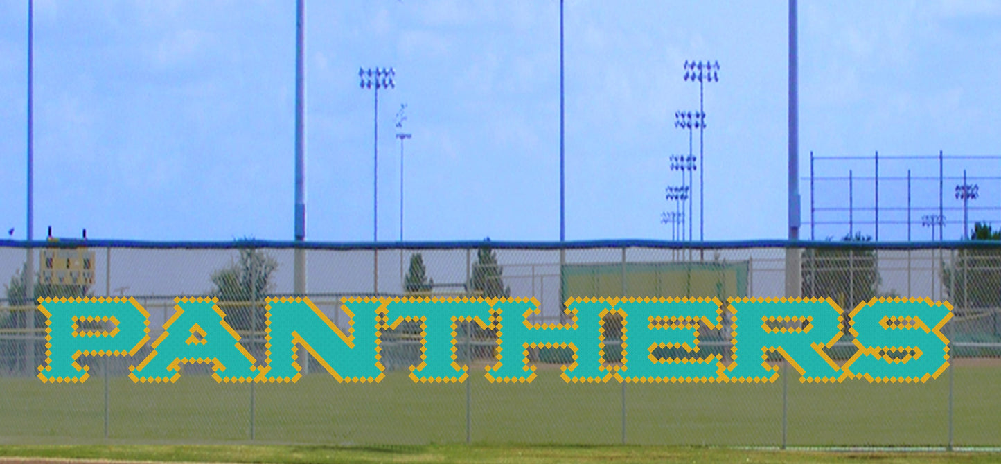 4' x 28' Panthers Letters - 2 Colors