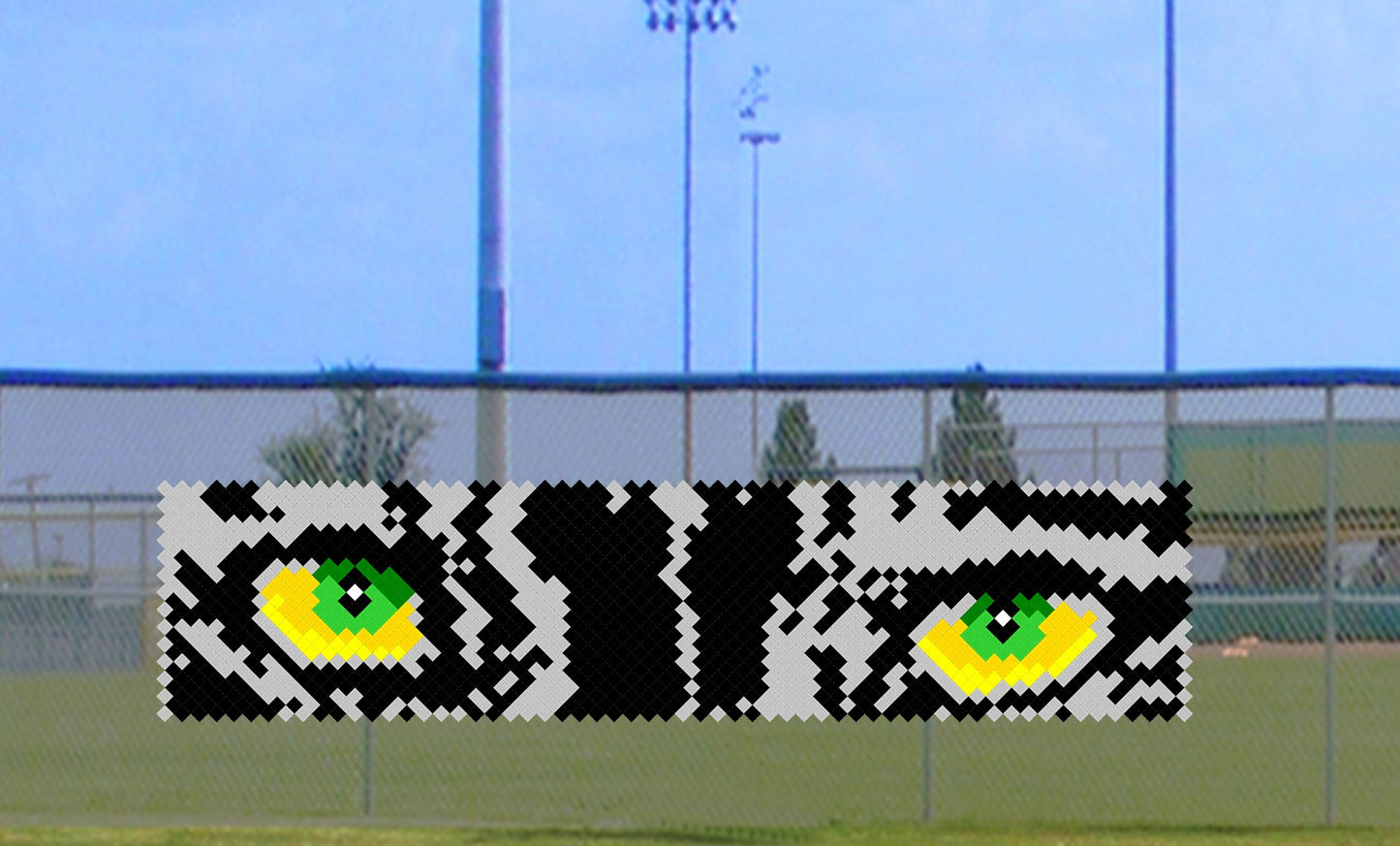 4' x 14' Panther Eyes
