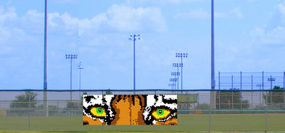 4' x 10' Tiger Eyes