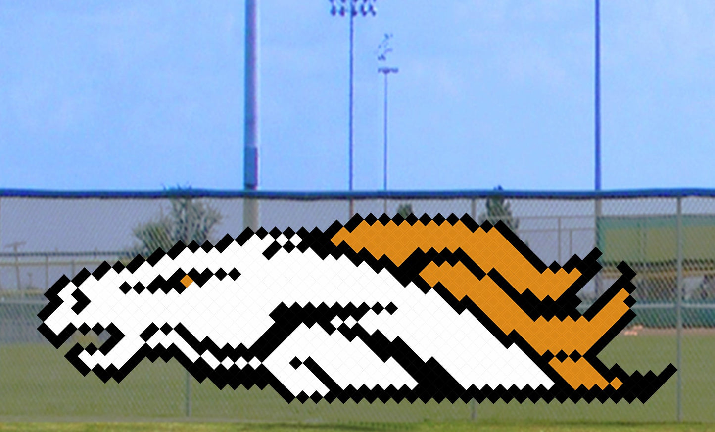 4' x 10' Bronco Horse Head