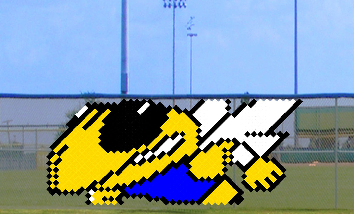 5' x 11' Hornet/Yellow Jacket