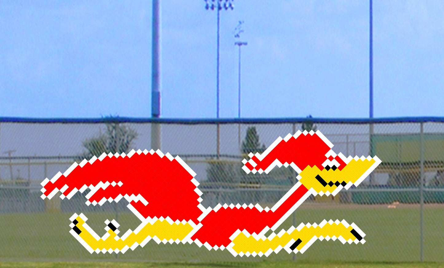 6' x 12' Running Roadrunner