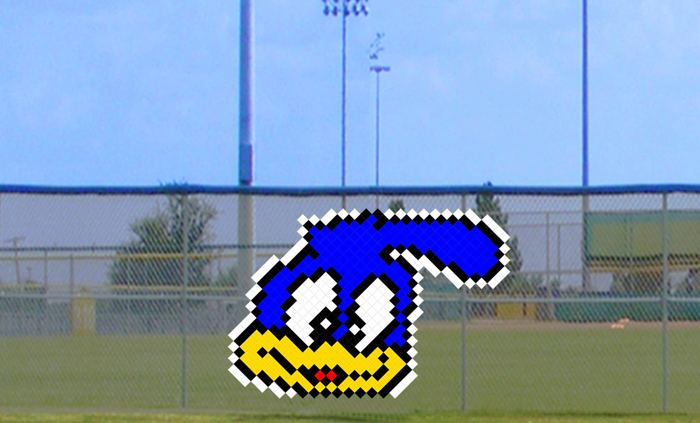 5' Cute Roadrunner Head