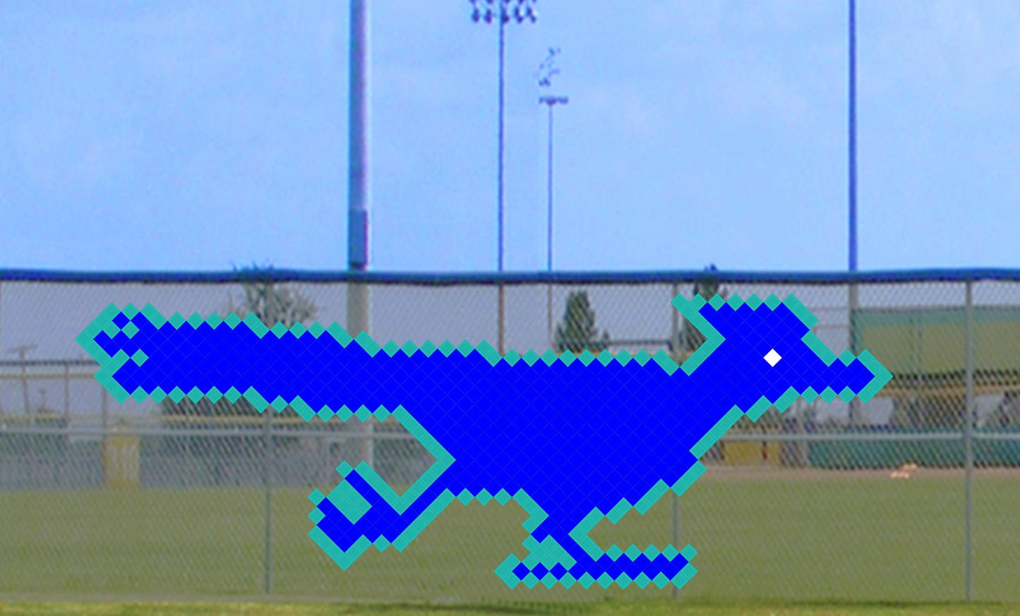 5' x 10' Roadrunner - 2 Colors