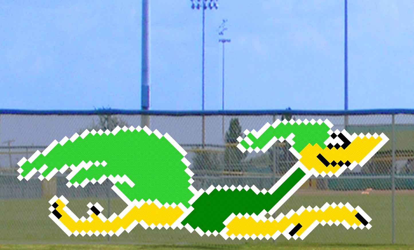 6' x 12' Running Roadrunner - 3C