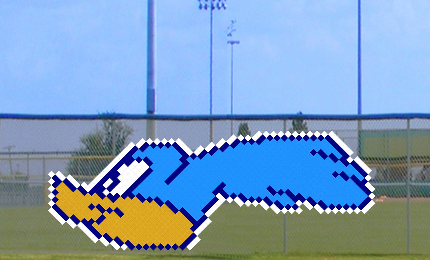 5' x 11' Large Roadrunner Head