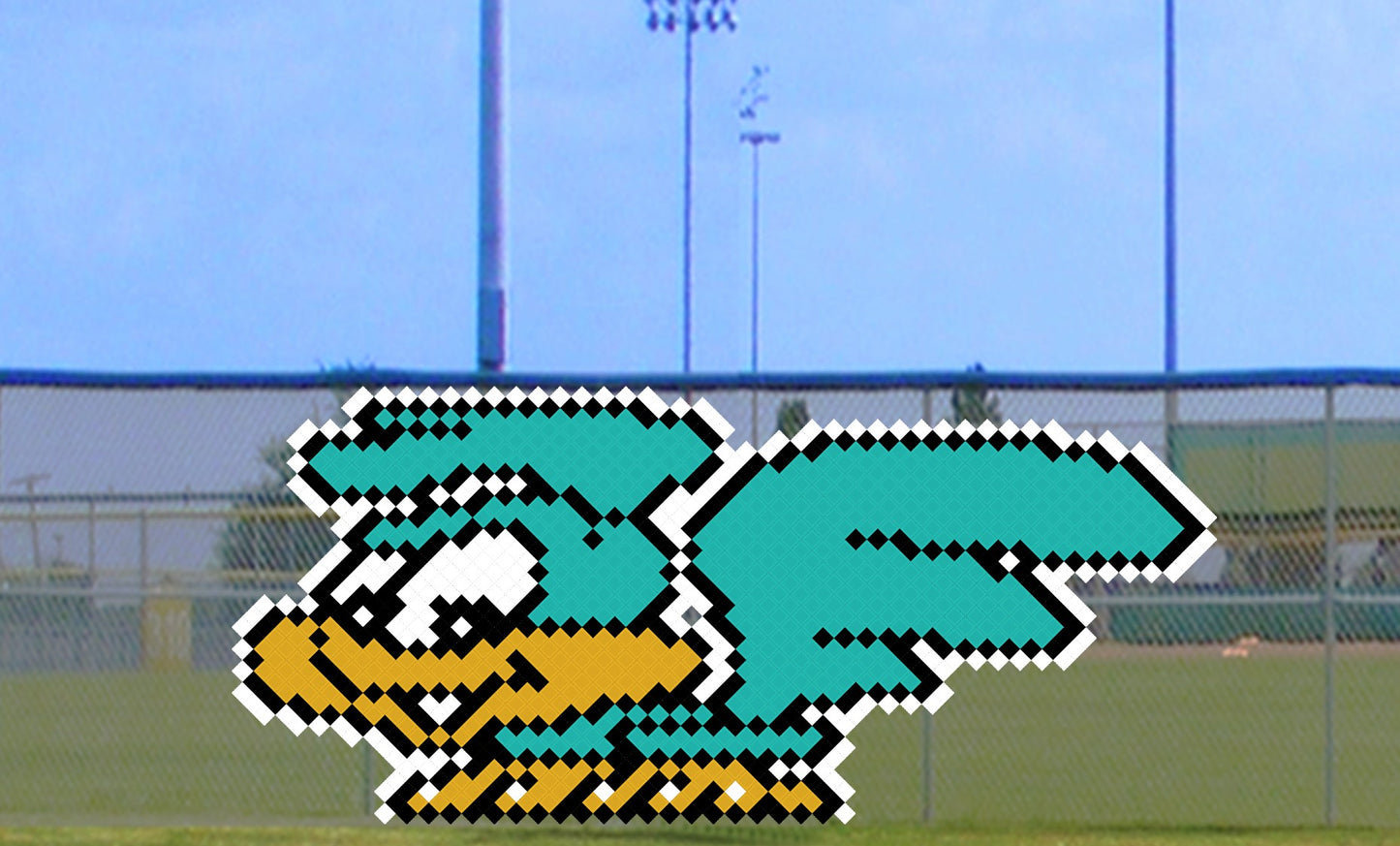 6' x 10' Cute Roadrunner