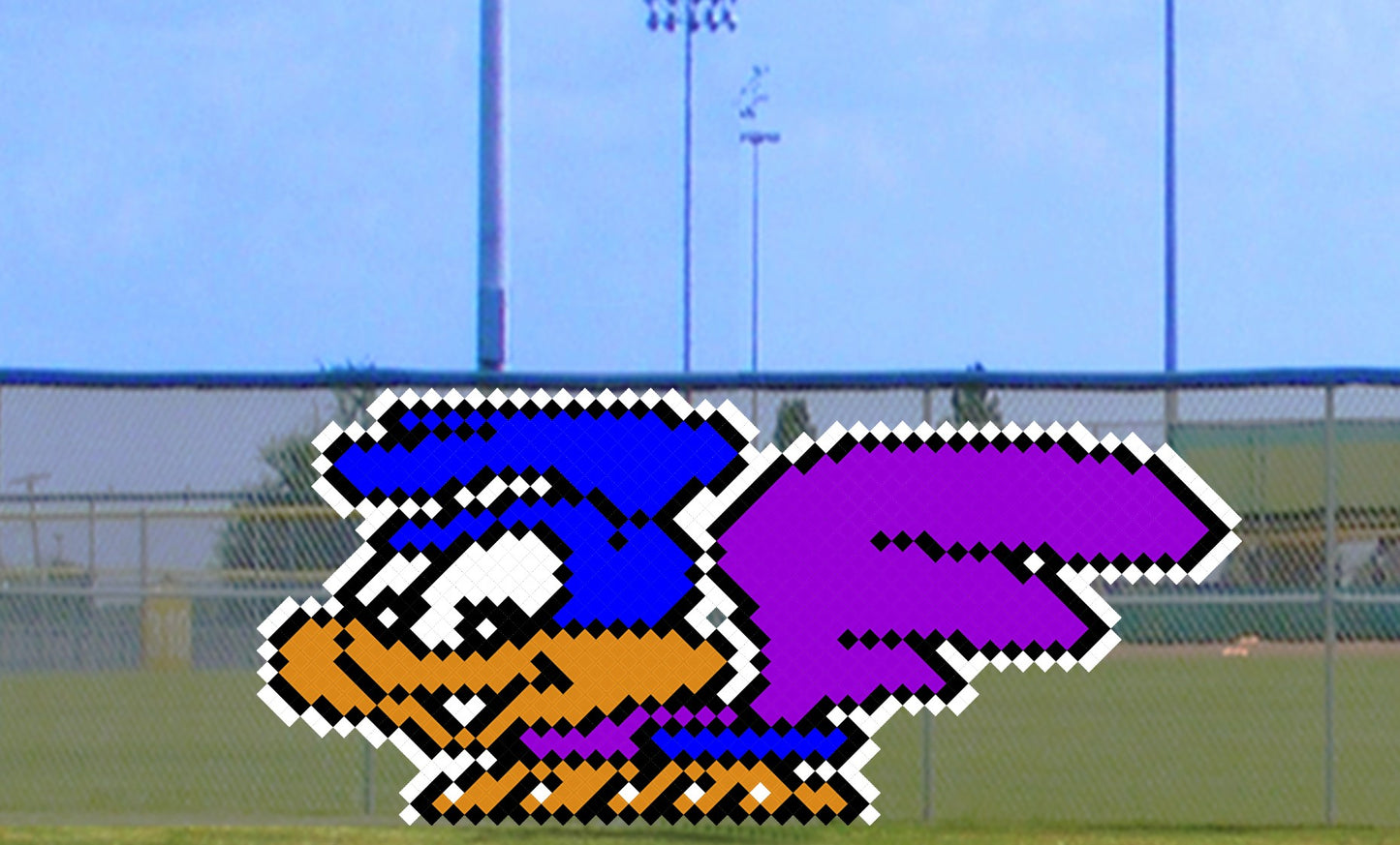 6' x 9' Two-Tone Cute Roadrunner