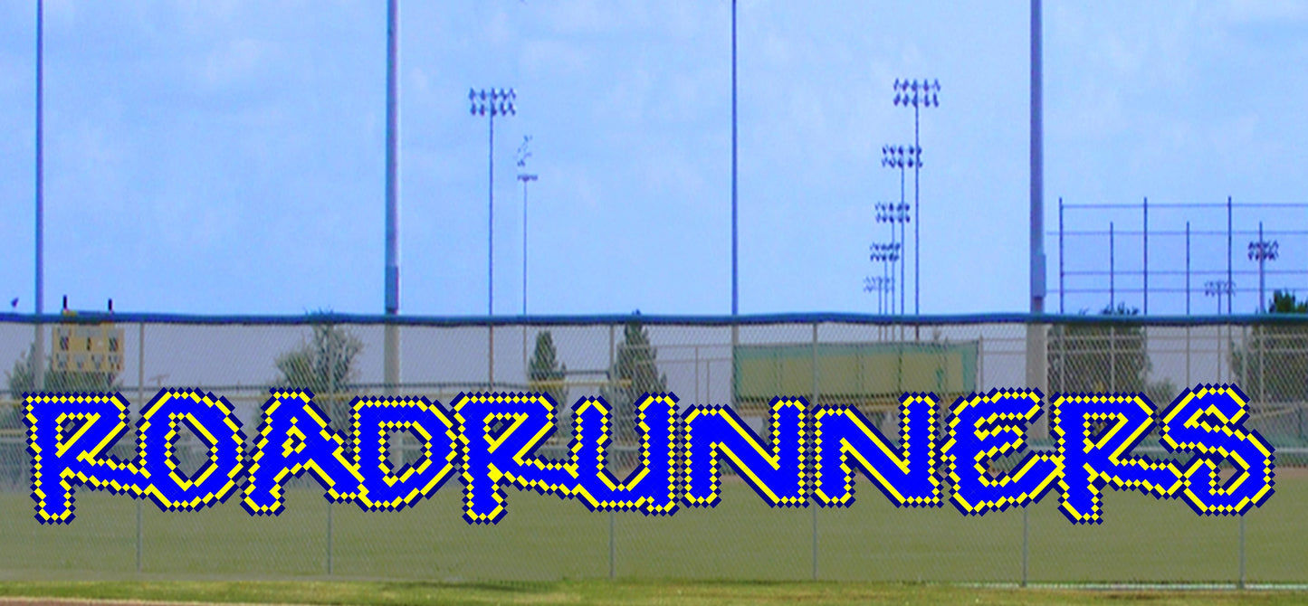 5' Fun Roadrunners Letters