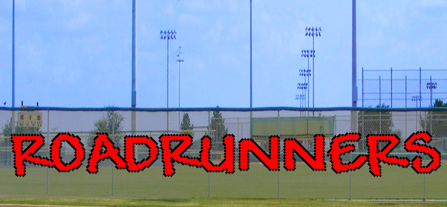5' Fun Roadrunners Letters - 2 Colors