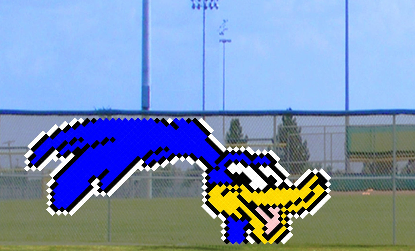 6' x 11' Happy Roadrunner