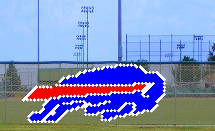 5' Buffalo Logo