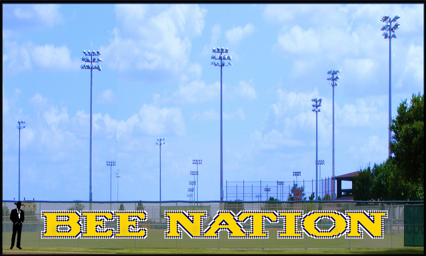 4' x 38' Bee Nation - 3 Colors
