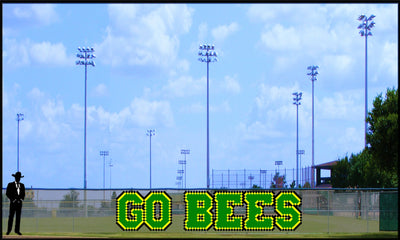 4.5' Go Bees - 3 Colors