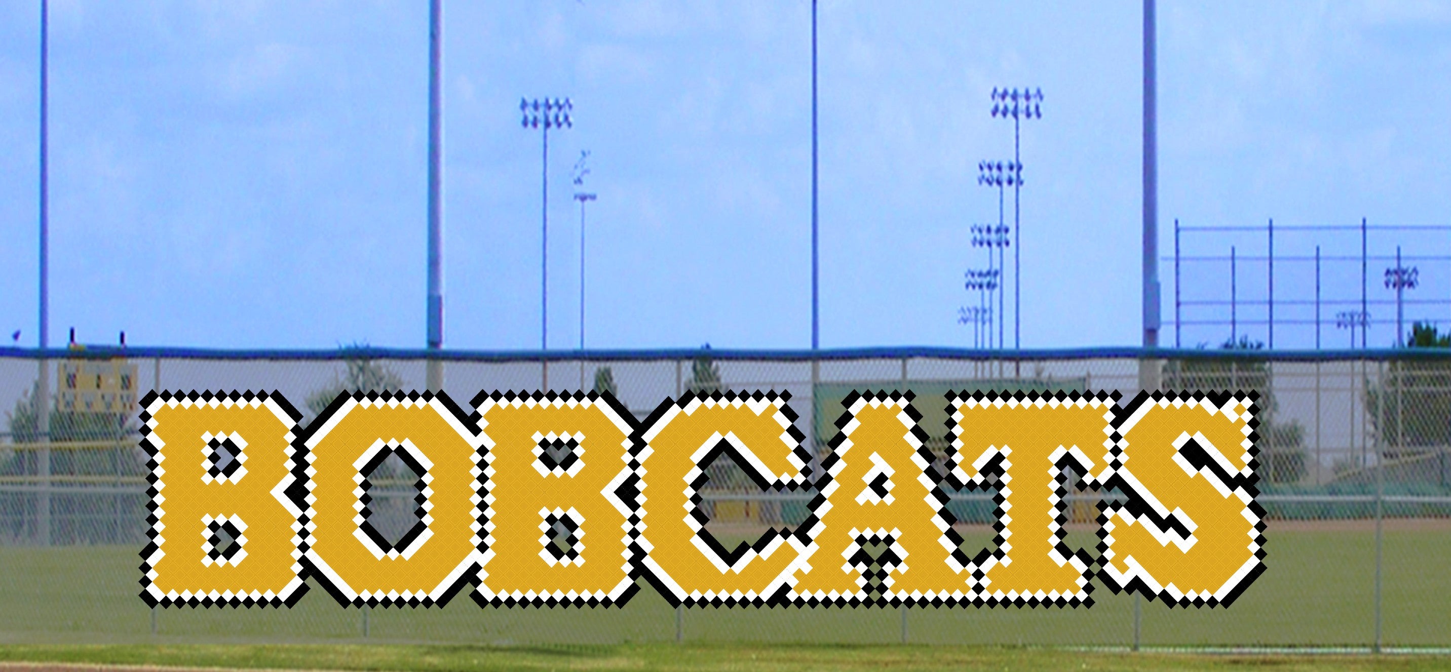 Colorfu Bobcat Lettering 5' x 23 Bobcats Letters – Put-In-Cups