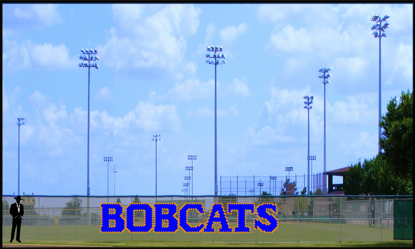 4' x 23' Bobcats Letters