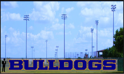 5' Bold Bulldogs Letters