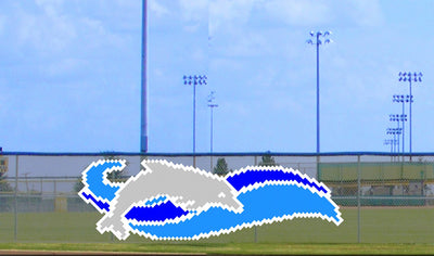 6' x 15' Dolphin Wave