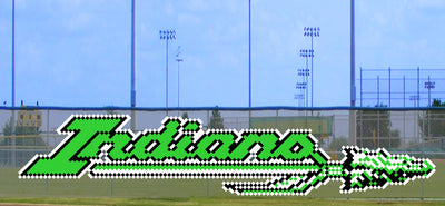 6' x 28' Indians Letters with Spear