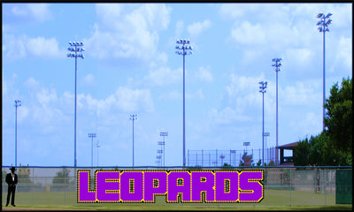 5 x 28' Block Leopards Letters