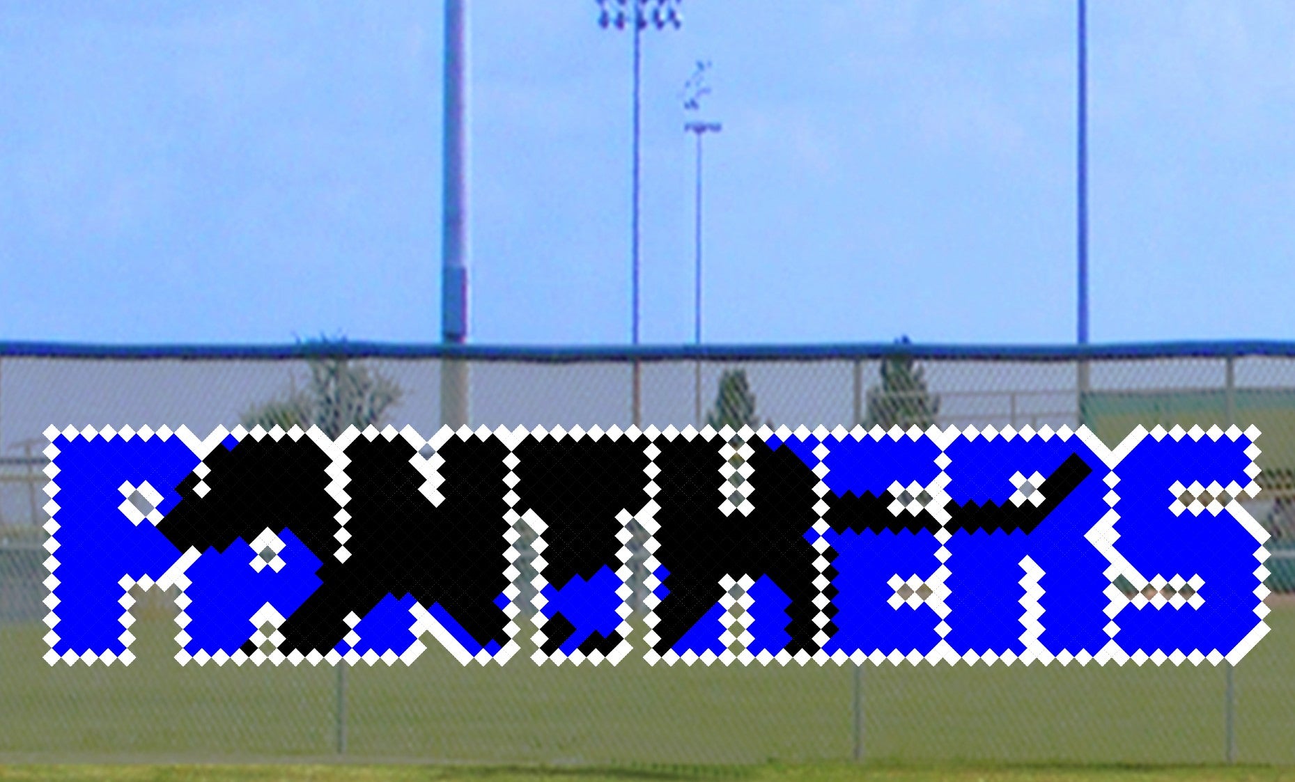 4' x 19' Panthers Letters with Silhouette – Put-In-Cups