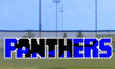 4' x 19' Panthers Letters with Silhouette