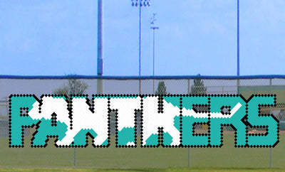 5' x 21' Panthers Letters with Silhouette