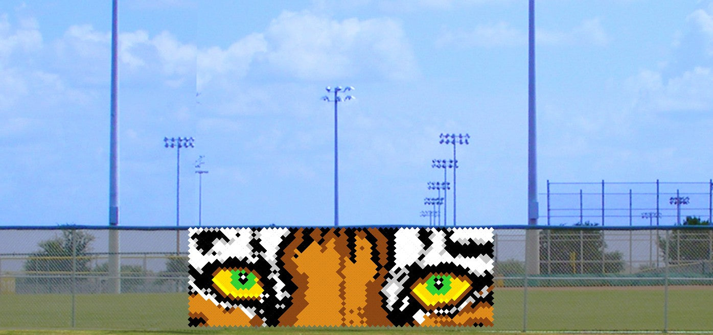 6' x 14' Tiger Eyes