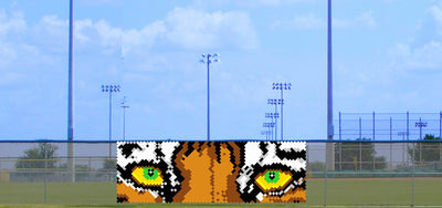 6' x 14' Tiger Eyes
